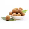 Muestra de Longan Seco Pelado, Venta Directa de la Fábrica de Origen, Fruta Grande, Al Por Mayor, Hueso Pequeño, Pulpa Espesa, Nueva Cosecha 2025, Longan Seco