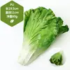 Adereços de vegetais de simulação modelo de vegetal de simulação folhas de alface falsas brócolis repolho adereços de supermercado frutas e vegetais crianças