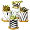Dongheng Maceta de Animales Estilo Japonés y Coreano Maceta Mini Pulgar Adornos Set de Búho Cambio de Horno Maceta para Suculentas con Base