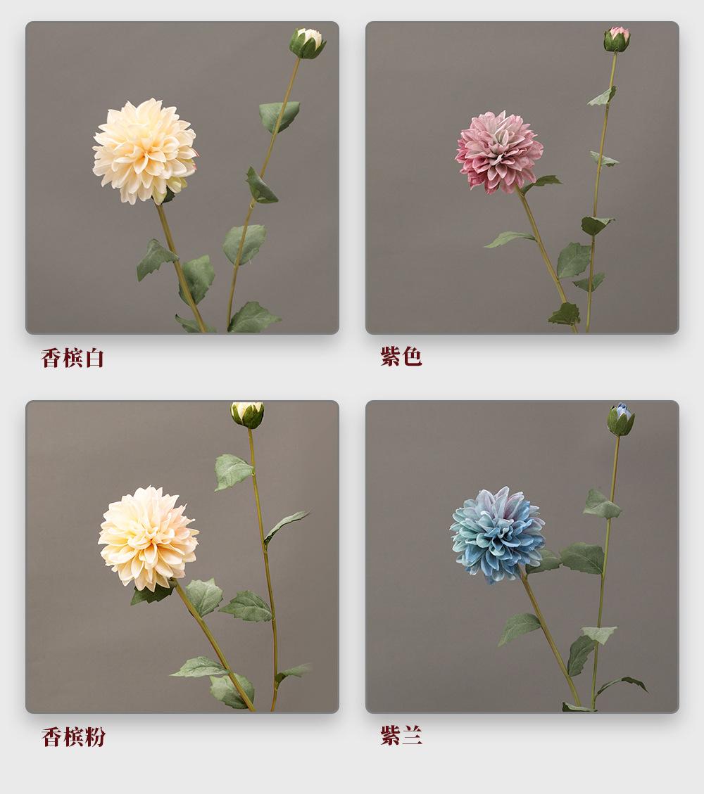 2头迷你大丽花_04.jpg