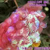 Escama de Dragón Sirena Iridiscente Concha Grande 40mm Lentejuelas Plegadas DIY Siete Colores Deslumbrante Escama de Pez Forma de Abanico Cuentas