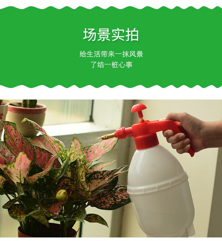 洒水壶