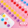Ingredientes para Postre Snack Pudín de Tofu con Leche de Sakura, Materiales para Puesto Popular en Línea, Set Completo para Uso Comercial, Precio al por Mayor