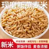 Aveia Recém-Chegada, Aveia Descascada Crua, Arroz de Grãos Mistos, Matérias-Primas para Restaurantes e Fábricas de Alimentos, Fornecimento Direto em Larga Escala da Origem, Atacado Comercial