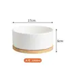 Tigela para gato com aquecimento de temperatura constante, tigela de cerâmica para animais de estimação, tigela para cachorro, tigela de comida para gato de inverno, dispensador de água, tigela de água para cachorro, suprimentos para animais de estimação