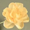 Peonía y Eucalipto Flor Preservada Aromaterapia Material Floral para Decoración del Hogar, Arreglo Floral para Vestíbulo y Oficina
