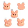 Colgante de Conejo Zanahoria de Resina Lindo de Dibujos Animados Accesorios de Joyería DIY Colgante para Pulsera Llavero W495
