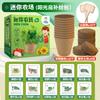 Plantio infantil Sunshine House Plant Observation Window Farm Plantio de vegetais Experimento científico Plantio de jardim Pequeno brinquedo em vaso