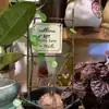 Arco de Ferro Estilo Vintage para Jardim, Inserções, Etiquetas e Placas Florais para Marcadores de Plantas, Decorações de Jardim e Enfeites para Vasos de Suculentas