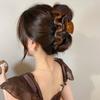 Acrílico Oversized Grasp Clip Ins Estilo de Alto Nível Early Spring Hairpin para o cabelo das mulheres com grande volume de volta da cabeça Shark Clip Headwear