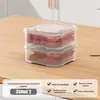 Geladeira Caixa de Conservação de Carne Congelada Transparente com Tampa Cebolinha, Gengibre e Alho Classificação Caixa de Armazenamento Quadrada Cozinha Caixa de Subembalagem de Carne Congelada