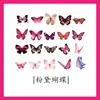 Mariposa Misterio Mascota Tridimensional Estampado en Caliente Manual de Pegatinas Retro Collage para Manualidades Funda de Teléfono Móvil Material para iPad Pegatina Pequeña