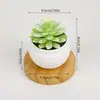 Conjunto de plantas artificiais suculentas mini em vaso de plástico mais vendido internacionalmente, plantas suculentas simuladas para decoração de casa