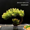 Decoração de Apresentação de Pratos de Restaurante de Hotel com Flores e Plantas, Decoração de Bandeja de Sashimi e Frutos do Mar, Guarnição de Sushi Japonês, Enfeites Criativos