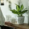 Macetetas Sencillas al por Mayor Hechas de Material de PP Engrosado, Fuertes y Resistentes a la Presión, con Fondo Transpirable para Prevenir la Pudrición de Raíces, y Vienen con un Plato para Plantas Verdes