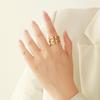 Moda Europeia e Americana Anel Largo Espiral Vazado de Aço de Titânio Feminino Dedo Indicador Dourado 18k Anel de Aço Inoxidável Acessórios Personalizados