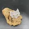 Novo Pingente de Fivela da Paz Tipo Gelo Calcedônia Branca Ágata Natural Jade Cavalo Pingente Venda por Atacado Transmissão ao Vivo Item Mais Vendido