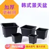 Maceta Cuadrada Engrosada Transpirable para Sedum Maceta para Flores Suculentas Plástico Pequeña Negra Cuadrada Maceta para Plántulas Flor Planta Verde Control de Raíces Anti-Pudrición de Raíz