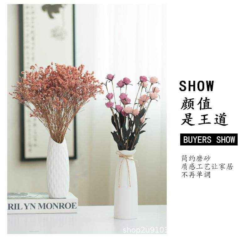 花瓶大白_02.jpg