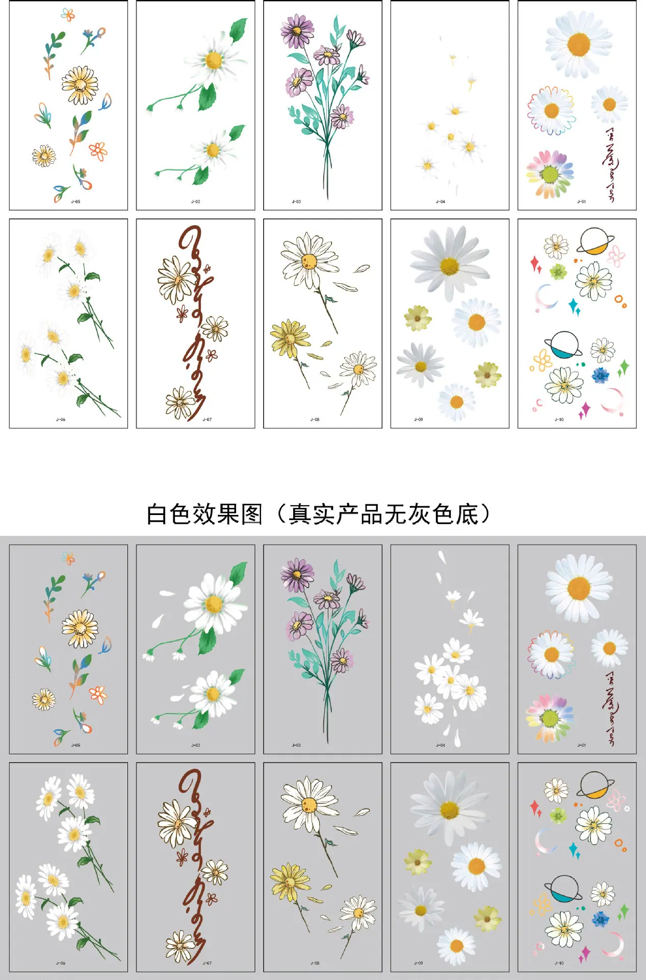 小雏菊-1