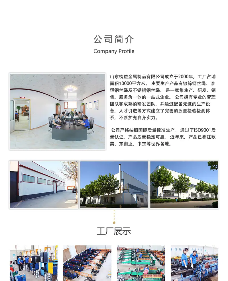 镀铜丝_04.jpg
