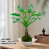 Escama de Dragão Pena de Primavera Bola de Musgo em Vaso Tronco Velho Escritório Plantas Hidropônicas Tolerantes à Sombra Internas e Externas Purificam o Ar Plantas Verdes de Mesa