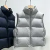 Colete de Algodão com Enchimento Estilo Coreano Gola Alta Simples Feminino 2026 Curto Outono/Inverno Tamanho Grande Versátil Emagrecimento Quente Roupa Exterior