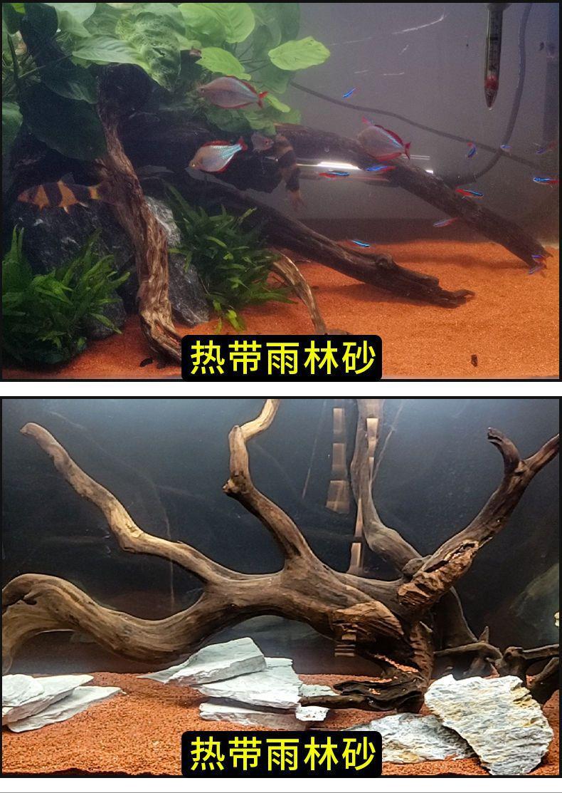 详情页图片6
