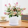 [Piedra Colgante de Flores y Hojas] Plantas Verdes Trepadoras Coloridas, Plantas de Flores en Maceta de Escritorio en la Oficina, Fáciles de Cultivar, Resistentes al Calor y al Frío