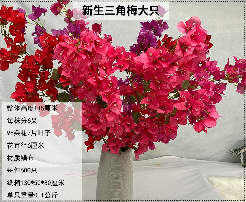 产品信息图-新生三角梅大只.jpg