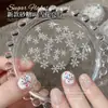 Acessórios de Arte para Unhas com Lantejoulas de Floco de Neve Estrela de Inverno, Glitter Fino de Luxo Leve, Adesivos de Decoração de Unhas com Lantejoulas de Floco de Neve Ultra-finos de Natal