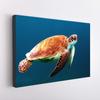 AliExpress Animal Marinho Polvo Pintura Sem Moldura Mar Azul Tartaruga Marinha Pintura de Parede Transfronteiriça Mais Vendido Pintura Decorativa 2989