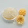 Hongo Blanco Pequeño Orgánico Hongo Blanco Pequeño Gutian Tiene Diferentes Tamaños y Tiene Alta Tasa de Espumado. Se Puede Cocinar en un Solo Recipiente 150g