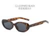 Cross-border Novos óculos de sol ovais estilo retro americano à prova de UV armação pequena chá diário todos os dias óculos de sol femininos