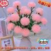520 Regalos Hechos a Mano DIY, Flores Artificiales, Ramos de Claveles, Flores Frescas, Flores Falsas, Actividades de Formación de Equipos para Jardín de Infancia