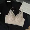 Ropa Interior Sexy de Encaje Sin Costuras Estilo Francés Mori para Mujer, Modelo Nuevo, Transmisión en Vivo, Reúne Busto Pequeño, Elevación Cómoda, Sujetador sin Varillas