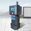 Motor Eléctrico con Velocidad Ajustable, Motor con Sensor Integrado, Reductor de Engranajes AC Industrial Médico de 6W-200W, Frecuencia Variable