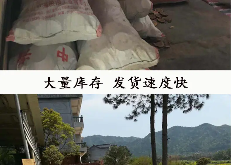 页头_10.jpg