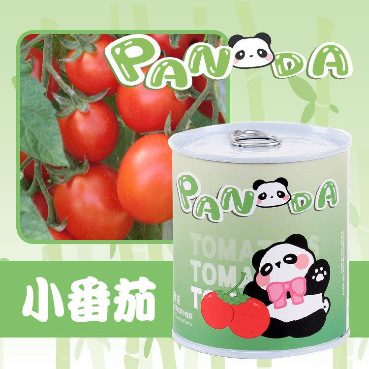 小番茄