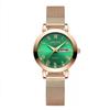Ventas Directas de Fábrica Nuevo Reloj de Cuarzo de Moda con Escala de Diamante Simple de Esfera Grande Estilo Coreano Estilo Pequeño Fresco Reloj de Mujer