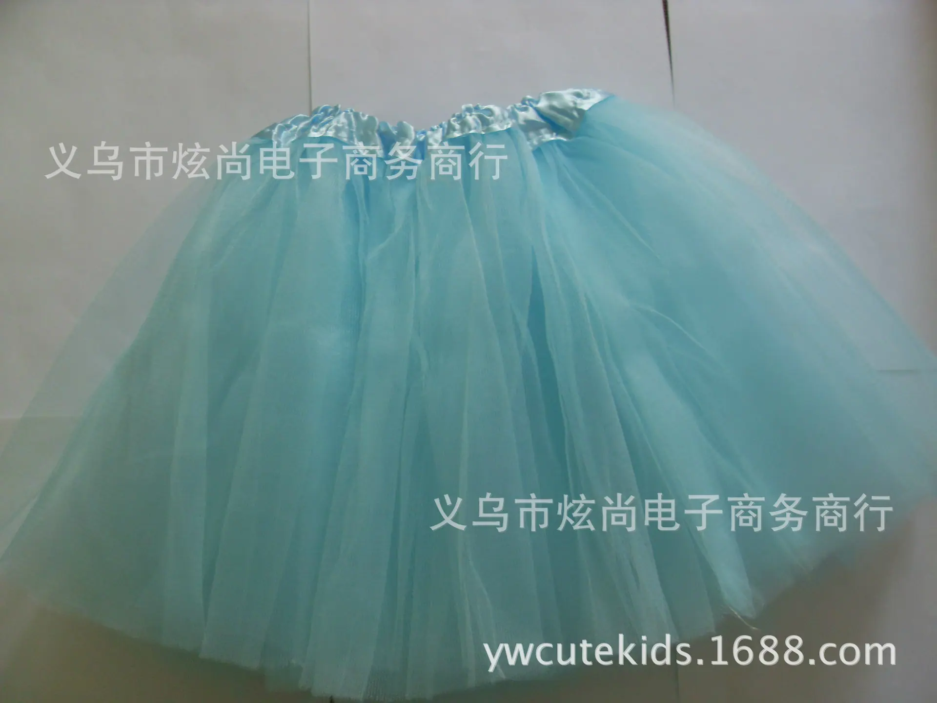 SDC13075
