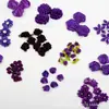 75 piezas de Amazon Más Vendido morado oscuro Hecho a Mano Tela traje Calcomanía DIY Zapatos y Sombreros Accesorios de Ropa Accesorios de Flores