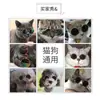 Gafas de Sol para Mascotas, Accesorios para Fotos de Gatos, Gafas Geniales y Únicas para Perros y Gatos Pequeños y Medianos, Gafas Divertidas