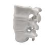 Produtos Cerâmicos Coluna Cerâmica Caneca Porta-Canetas Esqueleto Caneca Logo Assado Presente Criativo Atacado Presente Comercial