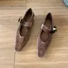 Zapatos de Salón Individuales de Punta Francesa y Boca Baja de Estilo Nuevo Primavera 2026 para Mujer, Zapatos de Terciopelo con una Correa, Zapatos de Tacón Bajo Grueso para Mujer