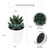 Planta artificial de plástico en maceta mini transfronteriza personalizada, adornos de escritorio, suculentas verdes, bonsái de simulación, combinación libre