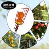 Artefato para colheita de frutas, vara telescópica, manga, tangerina, colheita de frutas em altitude elevada, anzol para colheita de frutas, laranja, jujuba, caqui, ameixa