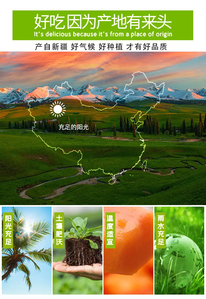 新疆味帝李详情图3