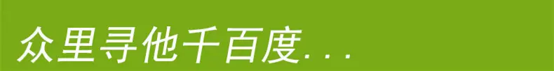 众里寻他千百度