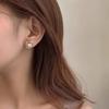 Aretes de Perlas para Mujer, Otoño e Invierno 2026 Nuevo Estilo de Celebridad de Internet de Moda, Aretes Elegantes y de Alta Gama